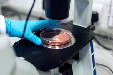 Uzmanlık Alanları diagnostic lab case gallery 4