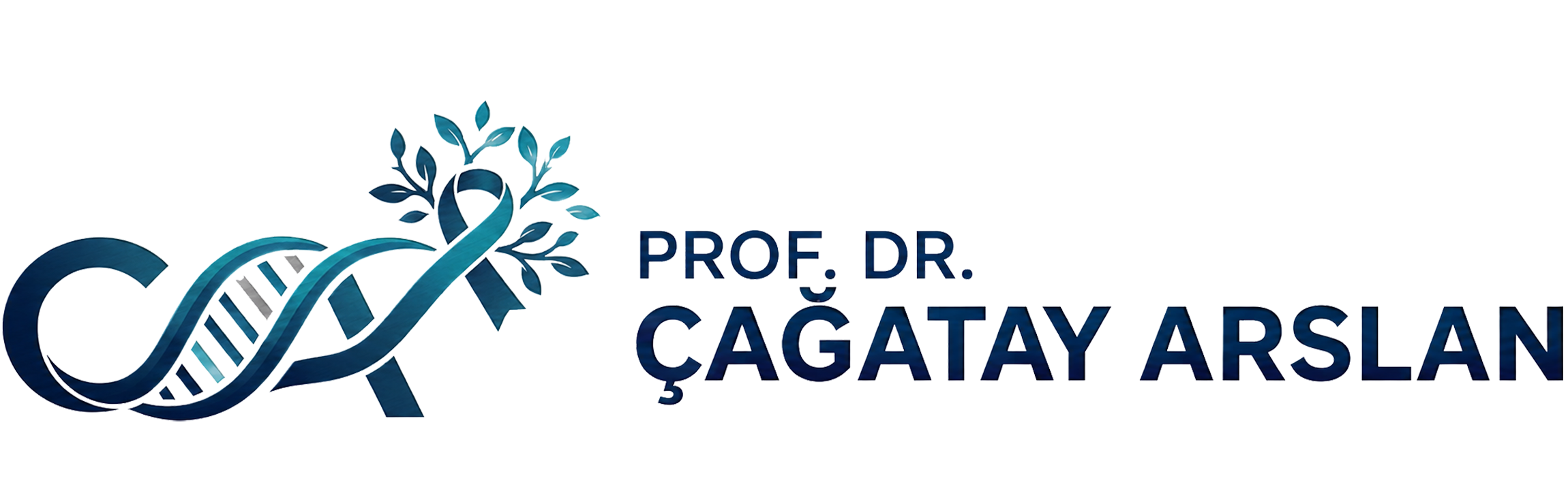 Prof.Dr.Çağatay Arslan